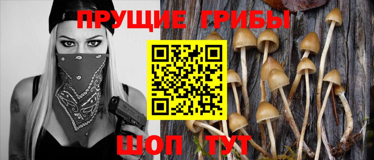 Галлюциногенные грибы GOLDEN TEACHER  Галлюциногенные грибы Magic Shrooms  Вход с VPN  Орск 