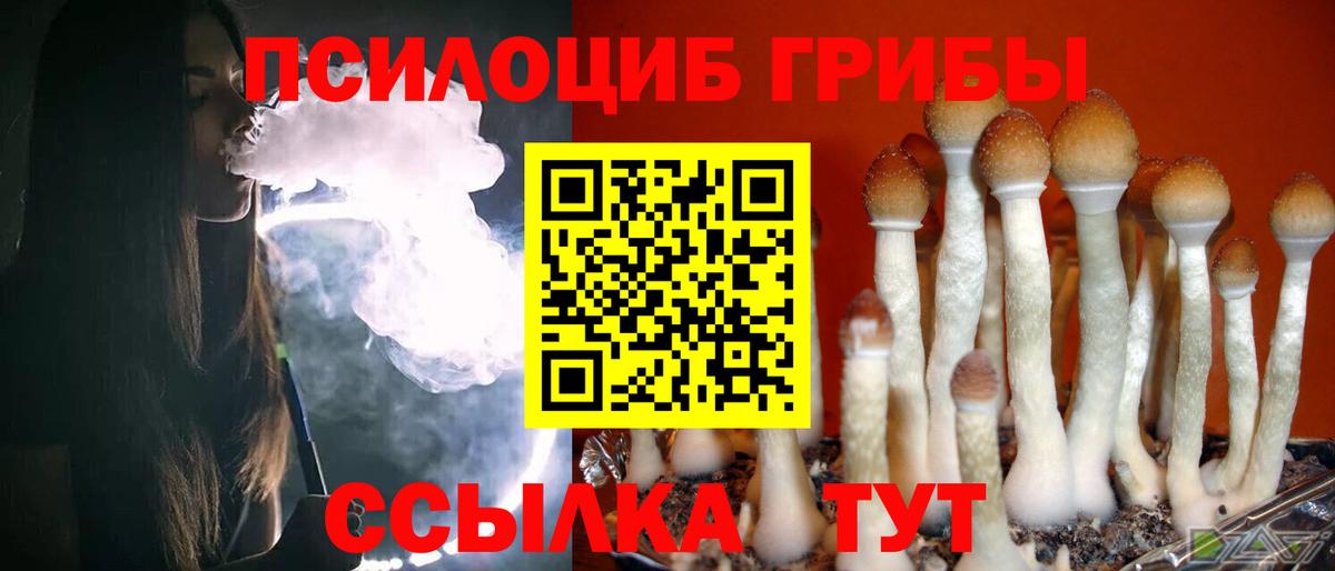 Галлюциногенные грибы Cubensis Орск